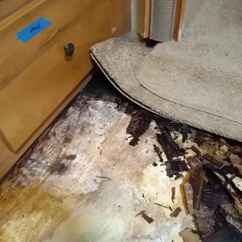 Wood Floor Water Damage in Sarasota, FL